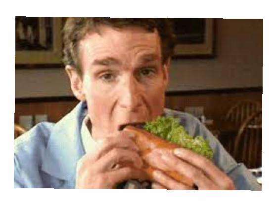 Bill Nye the sandwich guy