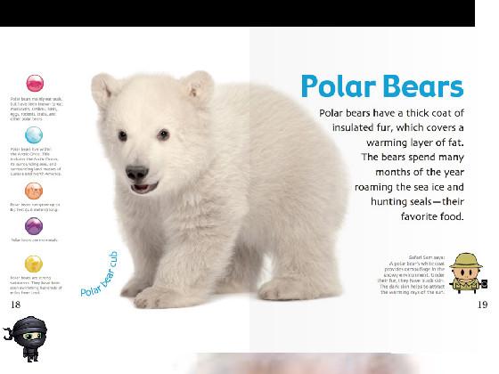 White bear is famous