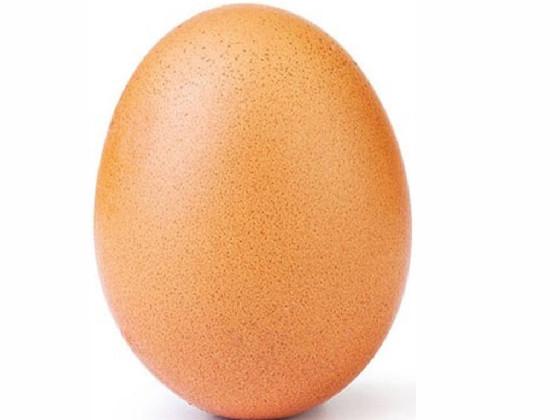 egg