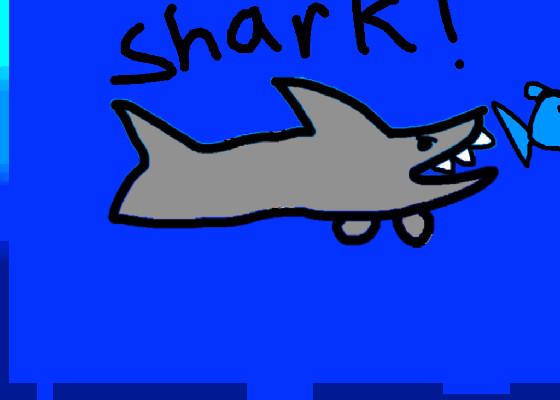 Shark! 1 1