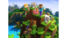 The Real Minecraft Quiz