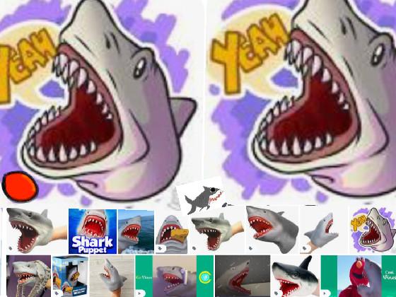 🦈yeah fight =shark pupet