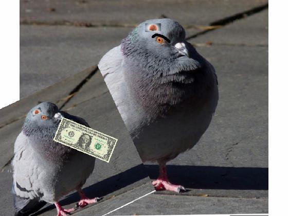 PIGEON HAS MONEY IT HAS 999999999999$