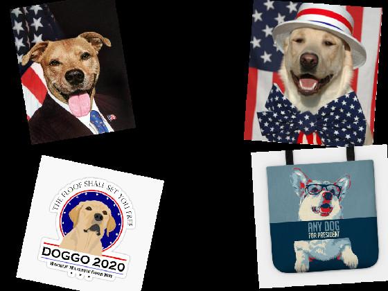 dog for presidint