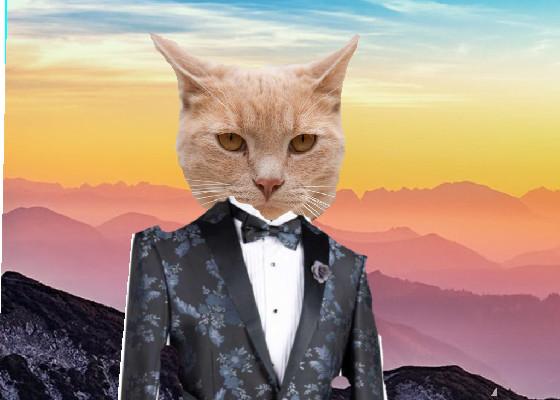 cat in tux