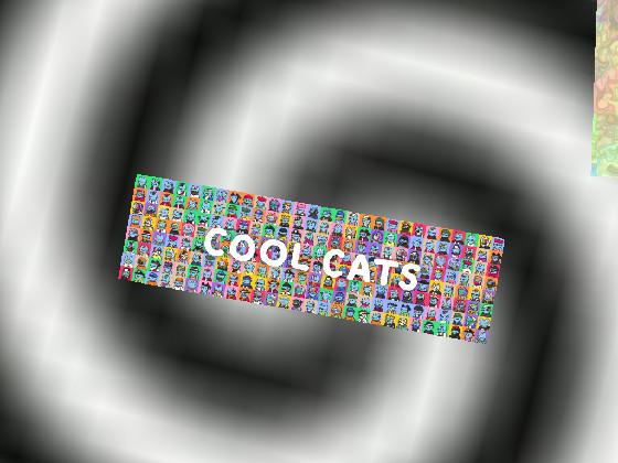 cool cats 1