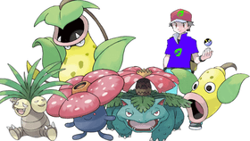 if i was a graas gym leader