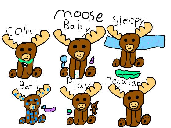 Moose