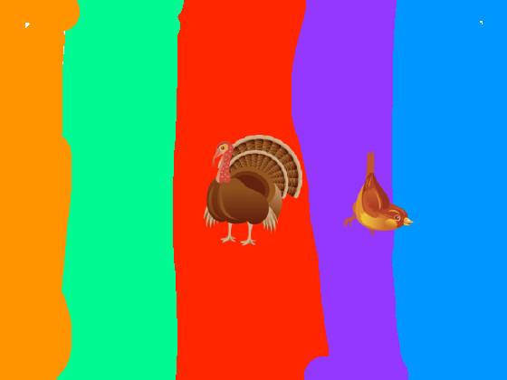 turky bird