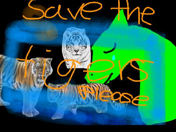 Save the tigers!!! 🐅 1 1 1