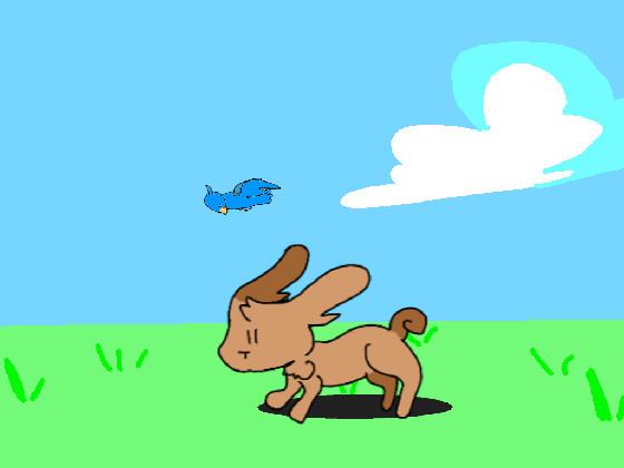 Bunny Run+Animation 1 1