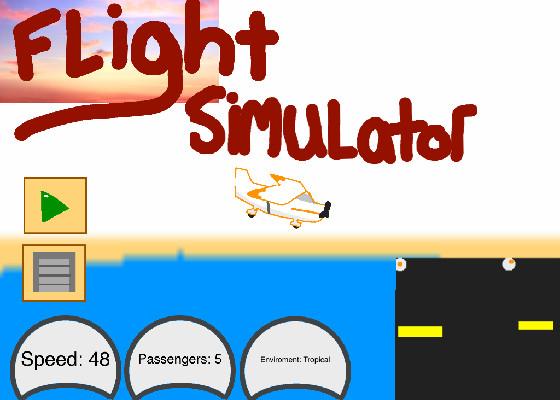 Flight Simulator