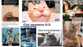 Cat Memes 0.2