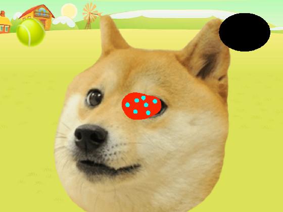 Kabosu the Doge