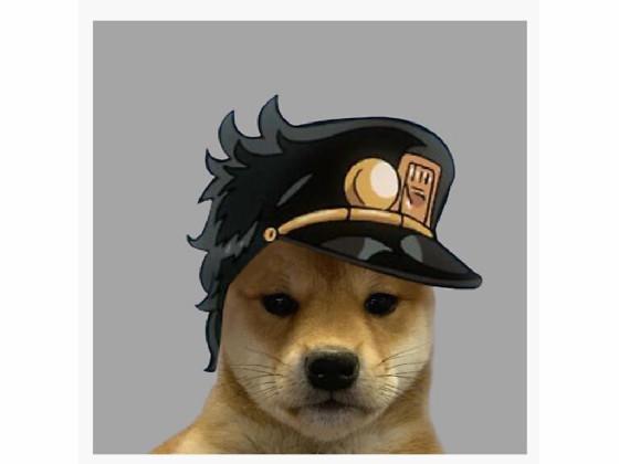 kool jotaro dog