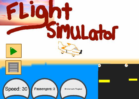 Flight Simulator 1