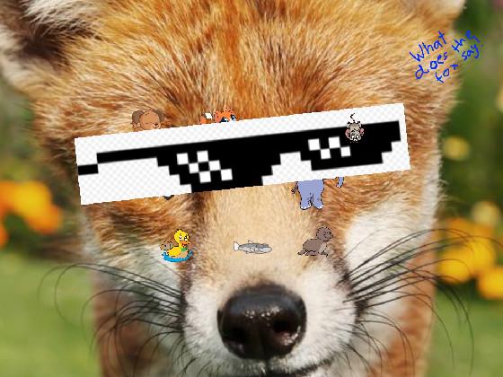 Whats a fox say =)