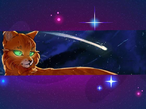 At the stars-Warrior cats 1