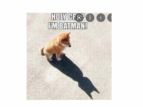 im batman for wants