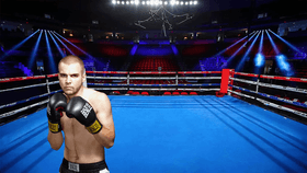 Boxing Simulator 3D