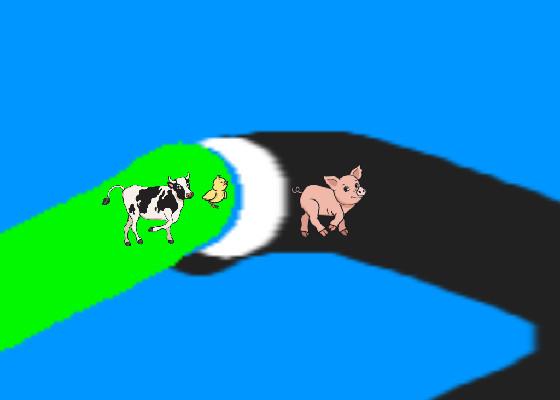 pig racing 1