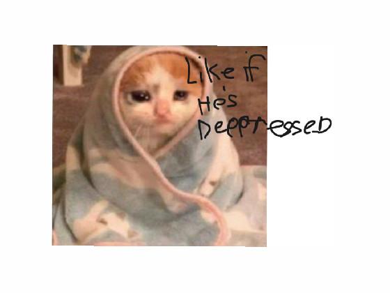 Mysad cat meme