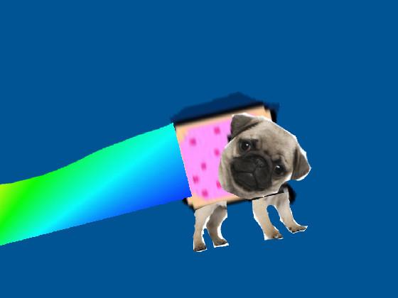 nyan pug!! 1