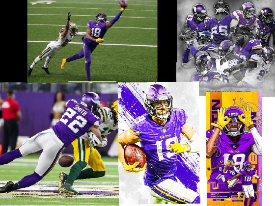 Minnesota Vikings