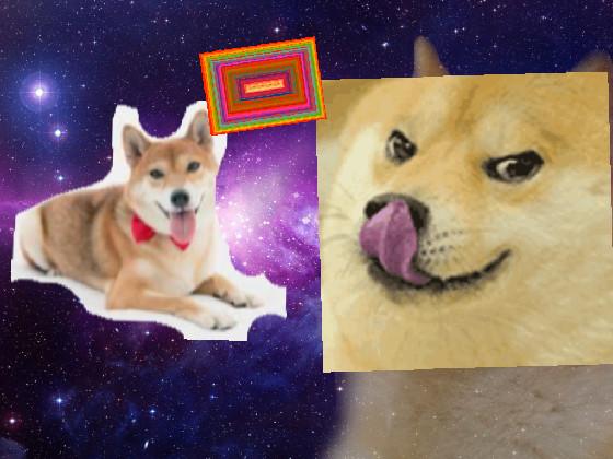 Boge Vs. Doge 1