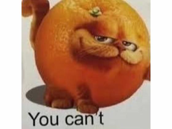 YOU CAN’T