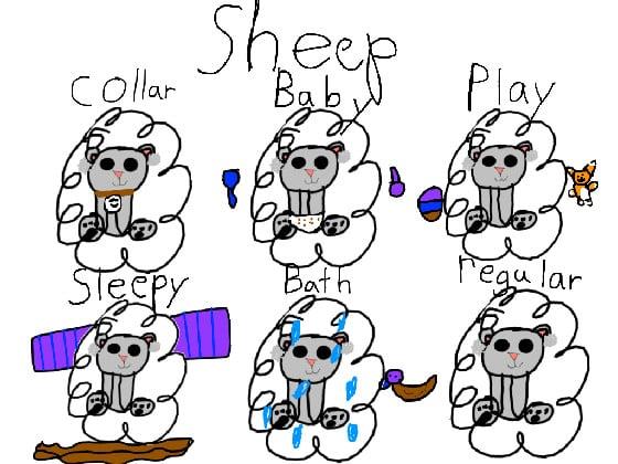 Sheep