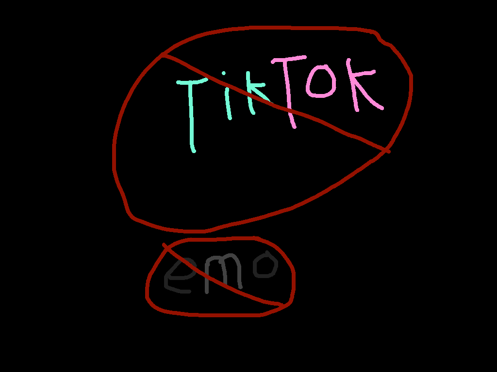 BAN TIKTOK