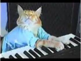 Keyboard Cat