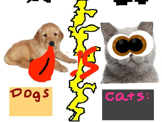 Dogs vs Cats!!🐈🐕 1