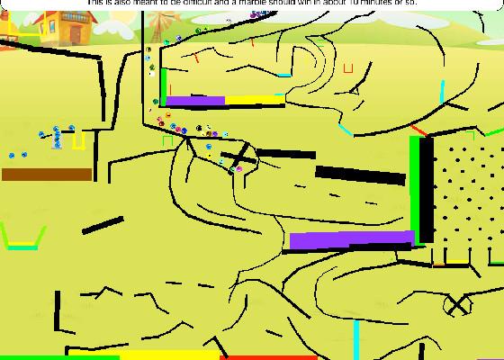 Long Marble Race Course 5