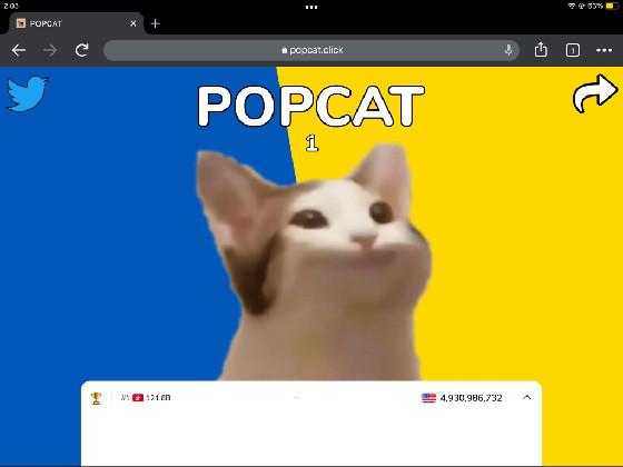 POP CAT