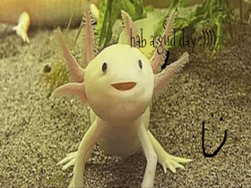 axolotl plz like 1