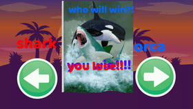 orca v.s shark