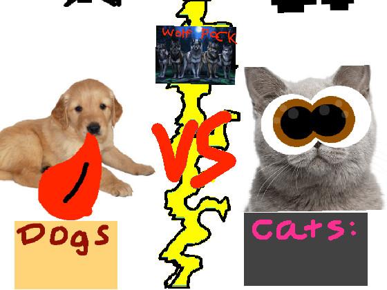 Dogs vs Cats!!🐈🐕 1