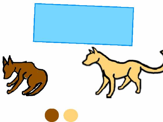 How I Draw Cats & Dogs 1