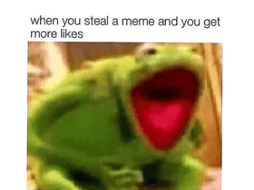 kermit memes in action