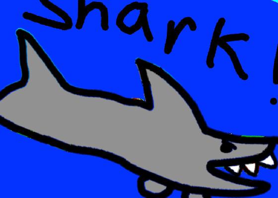 Shark! 1 1