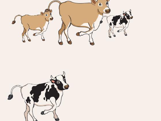 cows