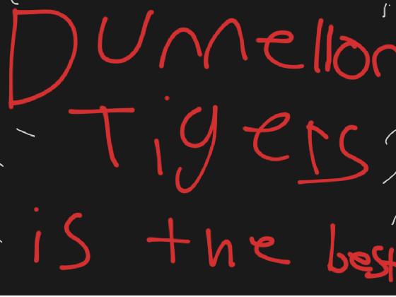 Dunnellon tigers
