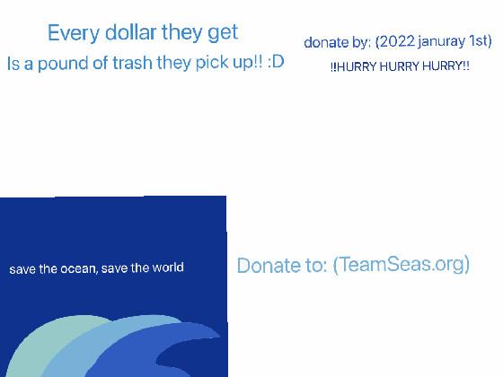 (TeamSeas.org)