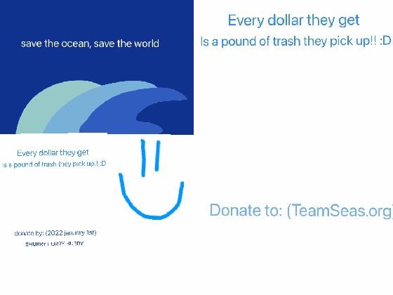 teamseas.org