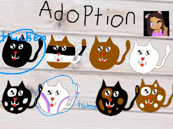  adopt cat’s  1 1