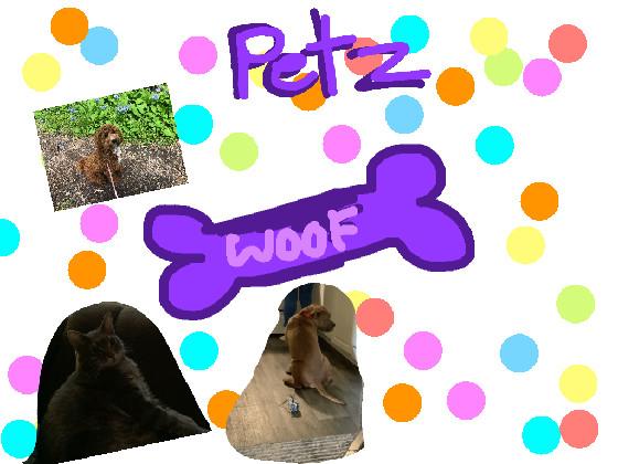 Re:PETZ