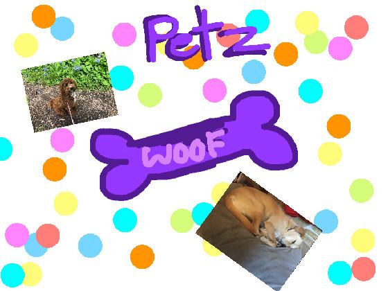 re:PETZ 