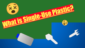 Single-Use Plastic